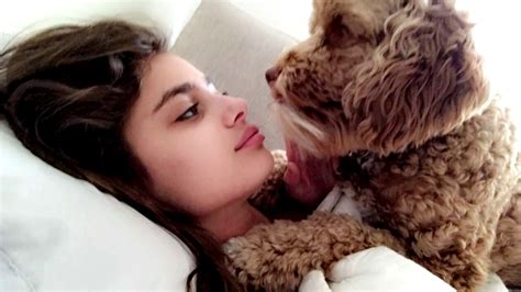 taylor hill burberry|taylor hill dog.